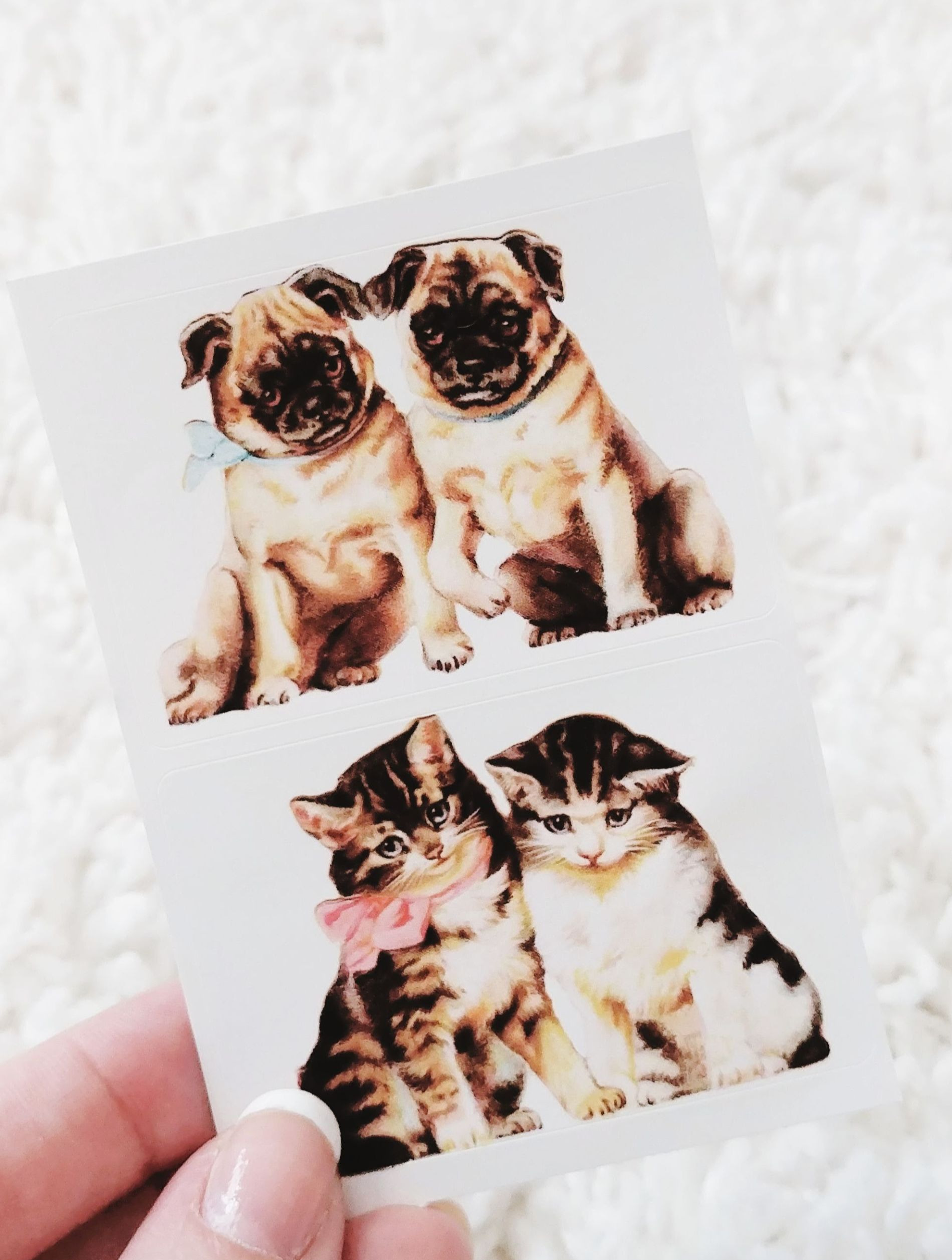 Pipsticks - Pets On Board Sticker